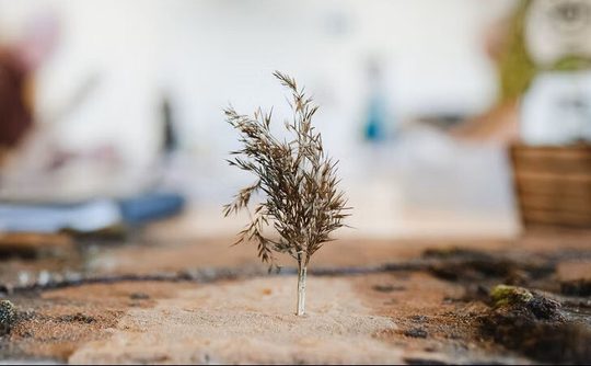 Close-up of a small dried plant growing in sandy soil indoors, with a blurred background of people and objects, conveying fragility and resilience.